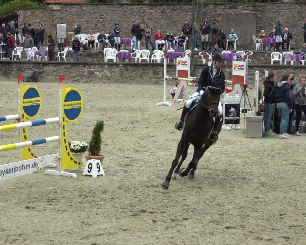 Erntedank Springturnier Nörten-Hardenberg 2021