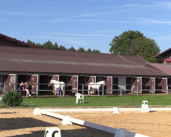 Reitturnier Ranshofen - Braunau am Inn 2023