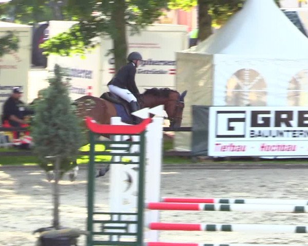 Reitturnier Schnarup-Thumby 2023