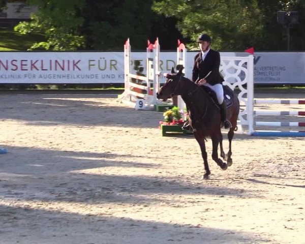 Reitturnier Schnarup-Thumby 2023
