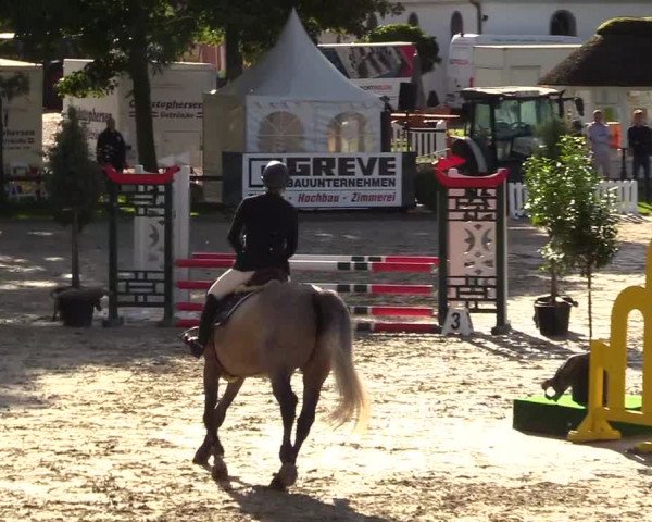 Reitturnier Schnarup-Thumby 2023