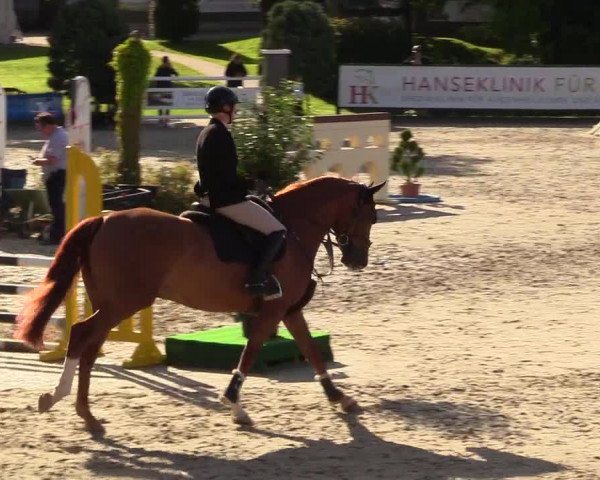 Reitturnier Schnarup-Thumby 2023