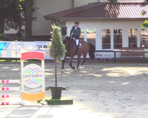 Reitturnier Schnarup-Thumby 2023