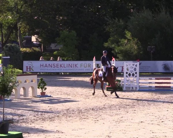 Reitturnier Schnarup-Thumby 2023