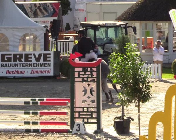 Reitturnier Schnarup-Thumby 2023