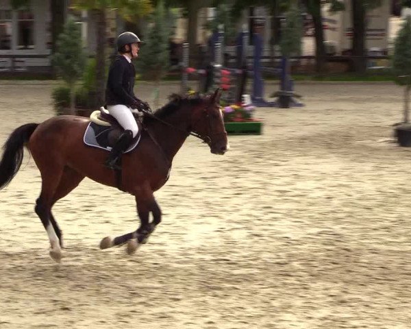Reitturnier Schnarup-Thumby 2023