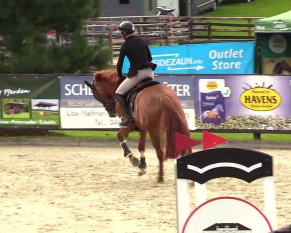 Reitturnier Schnarup-Thumby 2023