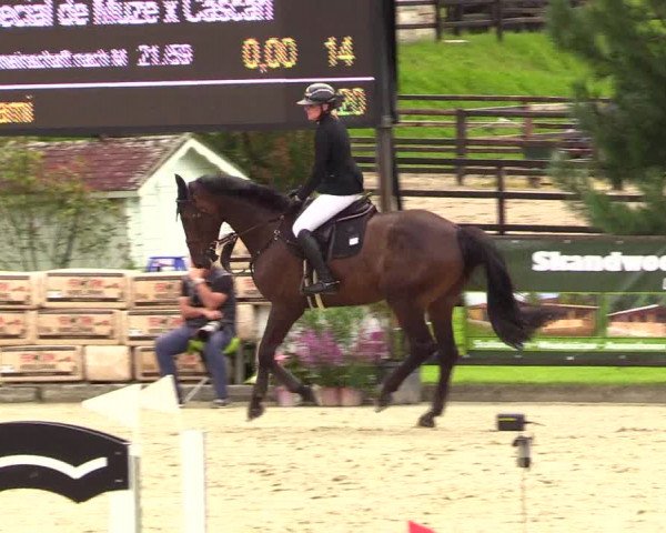 Reitturnier Schnarup-Thumby 2023