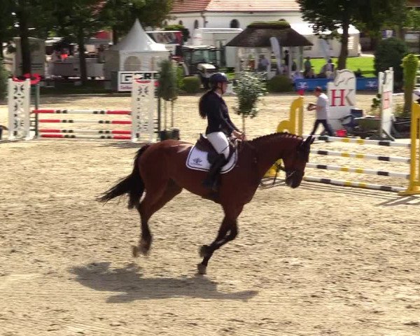 Reitturnier Schnarup-Thumby 2023