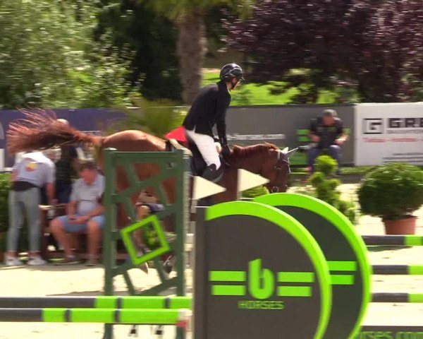 Reitturnier Schnarup-Thumby 2023