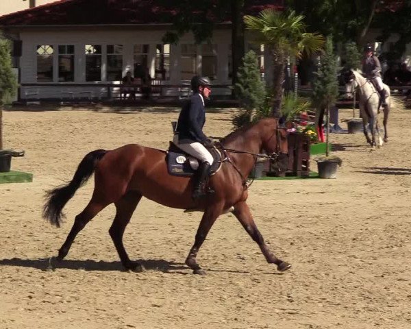 Reitturnier Schnarup-Thumby 2023