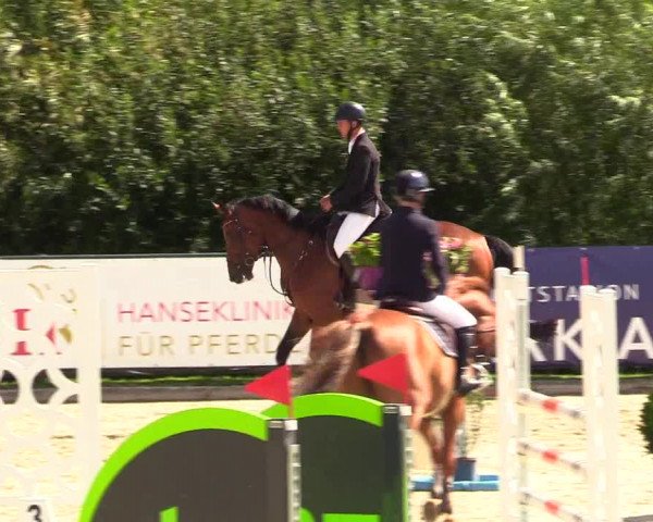 Reitturnier Schnarup-Thumby 2023
