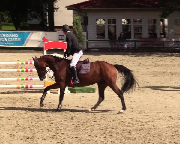 Reitturnier Schnarup-Thumby 2023