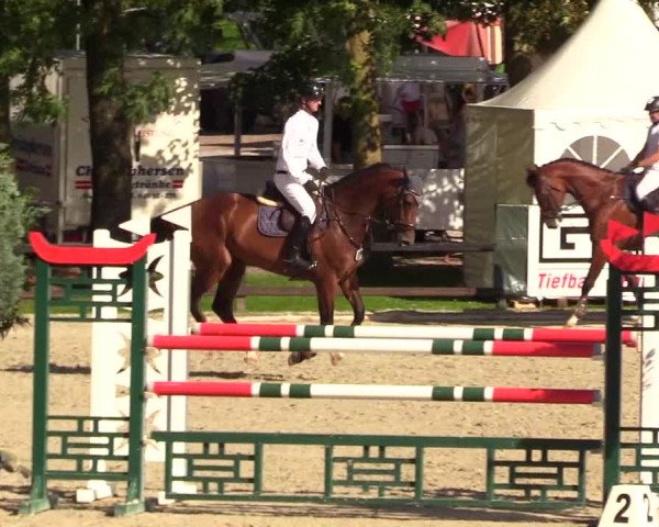 Reitturnier Schnarup-Thumby 2023