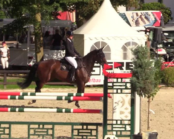 Reitturnier Schnarup-Thumby 2023