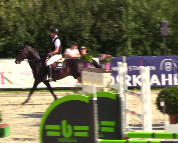 Reitturnier Schnarup-Thumby 2023