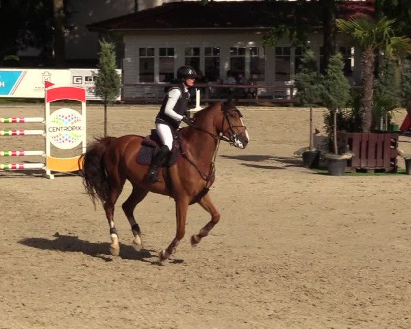 Reitturnier Schnarup-Thumby 2023