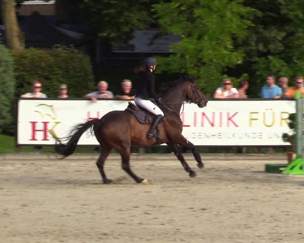 Reitturnier Schnarup-Thumby 2023