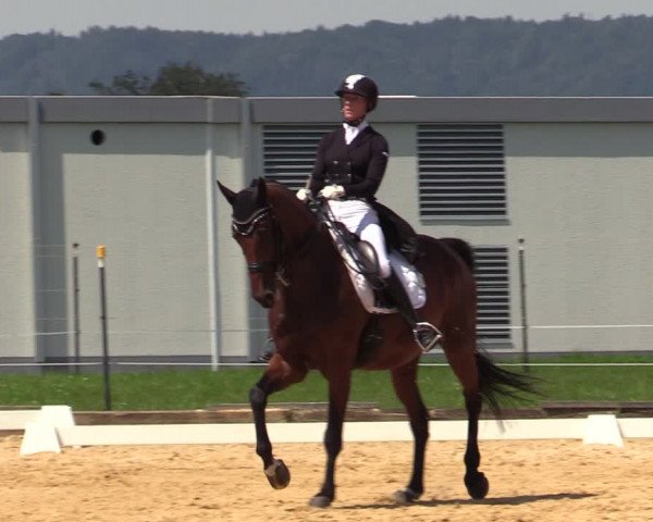 Reitturnier Ranshofen - Braunau am Inn 2023