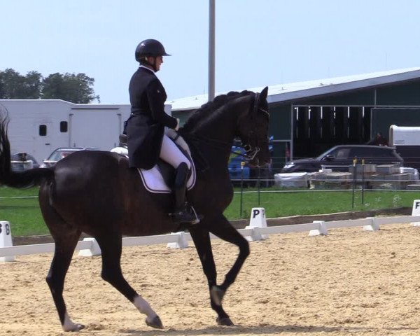Reitturnier Ranshofen - Braunau am Inn 2023