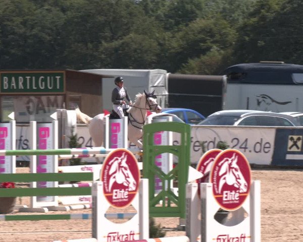 Reitturnier Ranshofen - Braunau am Inn 2023
