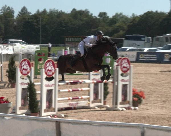 Reitturnier Ranshofen - Braunau am Inn 2023