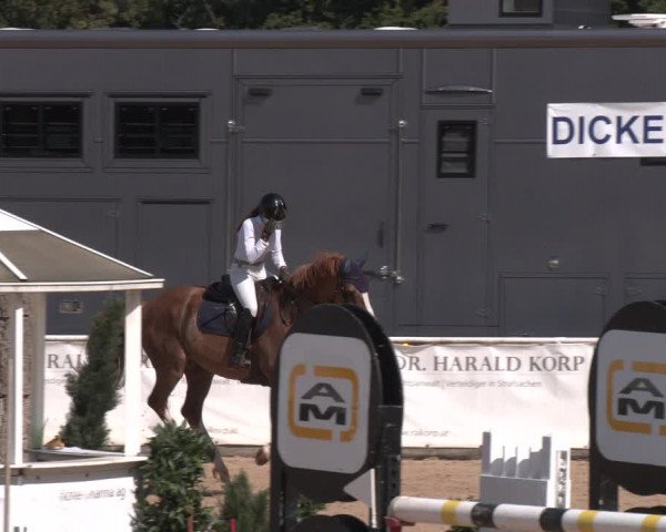 Reitturnier Ranshofen - Braunau am Inn 2023