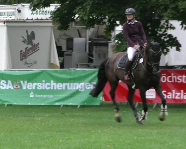 Reitturnier Aschersleben 2023