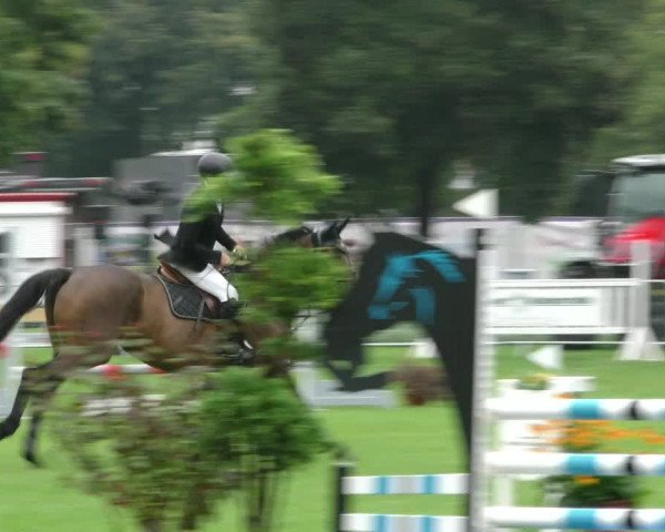 Reitturnier Aschersleben 2023