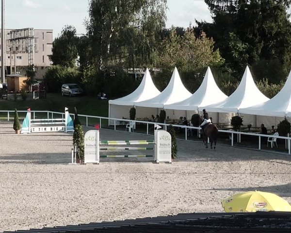 Pferdesporttage Bülach 2021