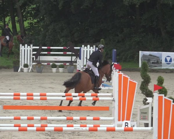 Reitturnier Bergisch Gladbach - Hebborner Hof 2023