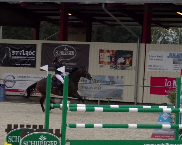 Reitturnier Dompierre 2023