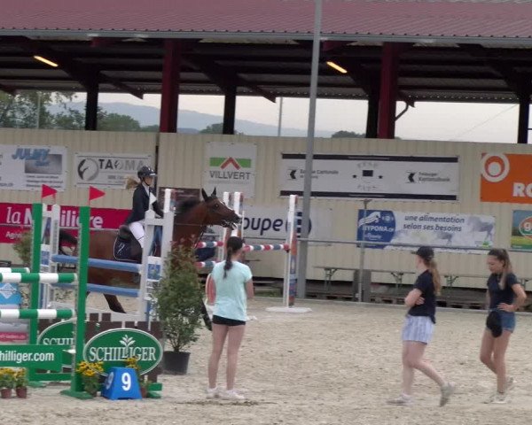 Reitturnier Dompierre 2023