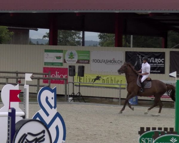 Reitturnier Dompierre 2023
