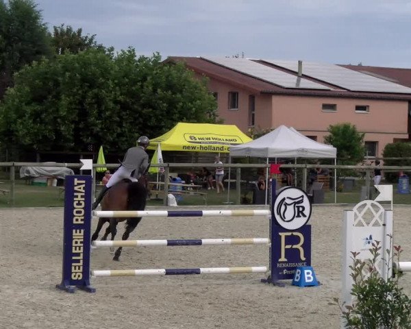 Reitturnier Dompierre 2023