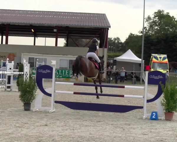 Reitturnier Dompierre 2023