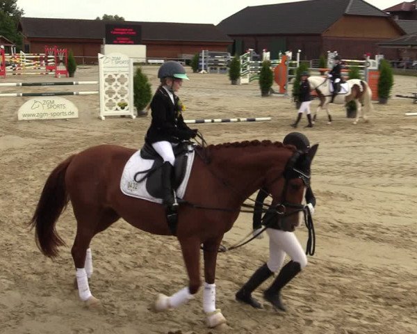 Reitturnier Dortmund-Barop 2021