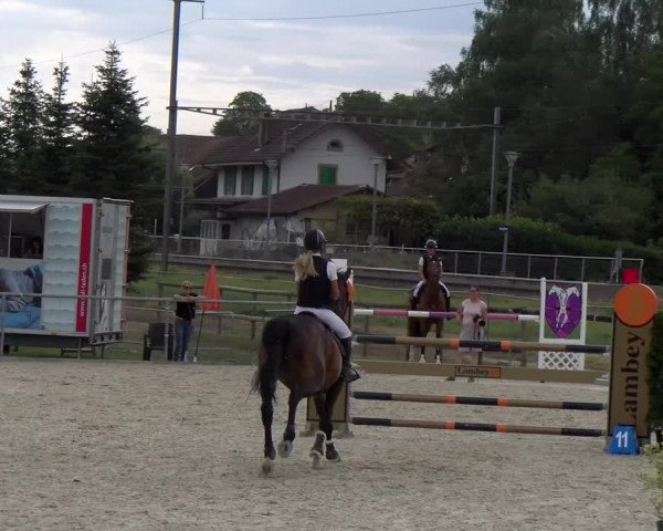 Reitturnier Dompierre 2023