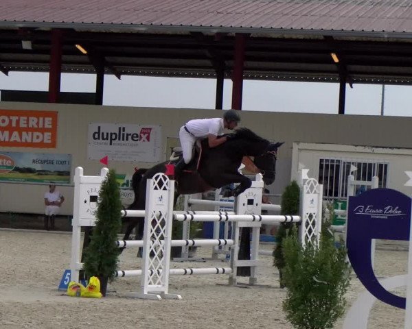 Reitturnier Dompierre 2023