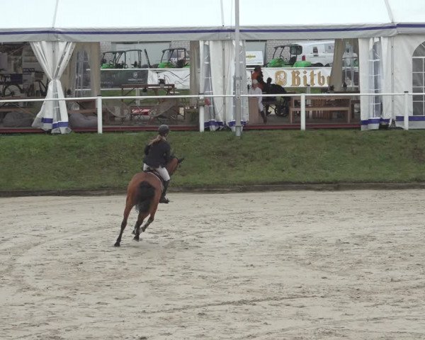 Reitturnier Bergisch Gladbach - Hebborner Hof 2023