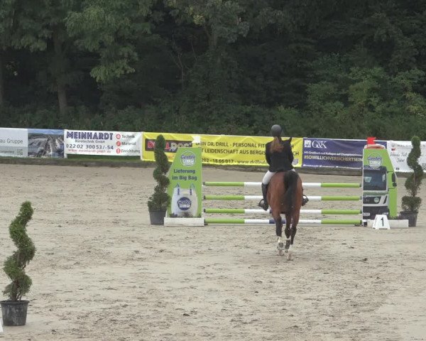 Reitturnier Bergisch Gladbach - Hebborner Hof 2023