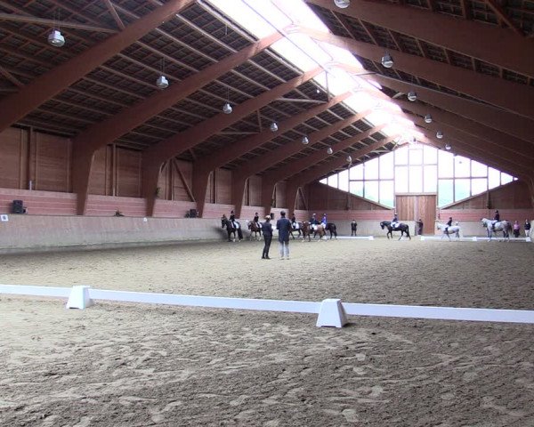 Reitturnier Dortmund-Barop 2021
