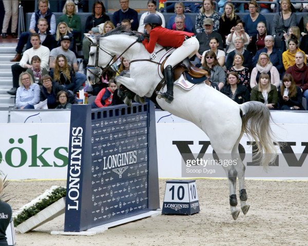 Springpferd Hadja van Orshof (Belgisches Warmblut, 2007, von Cabrio van de Heffinck)