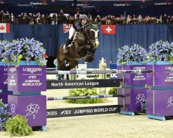 jumper Chamonix H (Swedish Warmblood, 2001, from Carnute)