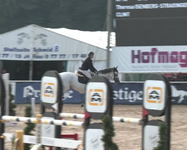 Reitturnier Ranshofen - Braunau am Inn 2023