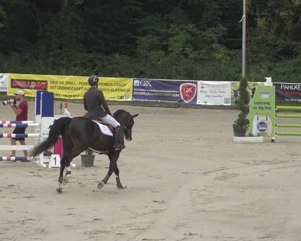Reitturnier Bergisch Gladbach - Hebborner Hof 2023