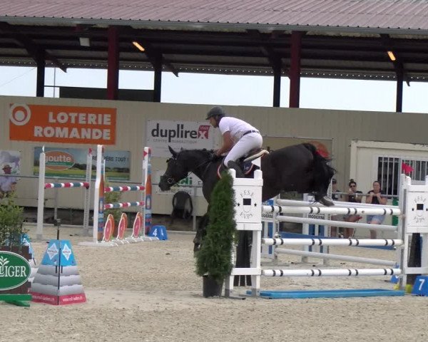 Reitturnier Dompierre 2023