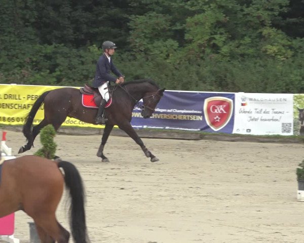Reitturnier Bergisch Gladbach - Hebborner Hof 2023