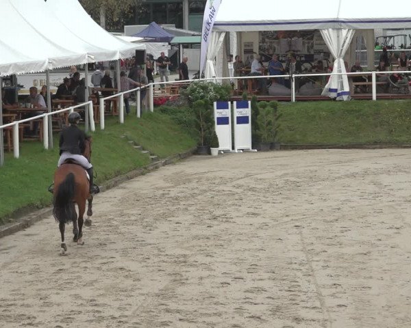 Reitturnier Bergisch Gladbach - Hebborner Hof 2023