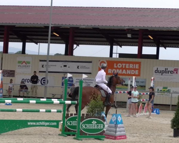 Reitturnier Dompierre 2023